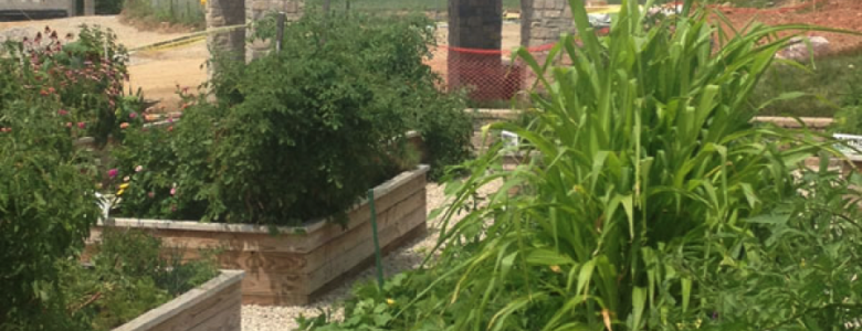 Progress at the pavilion with greenery