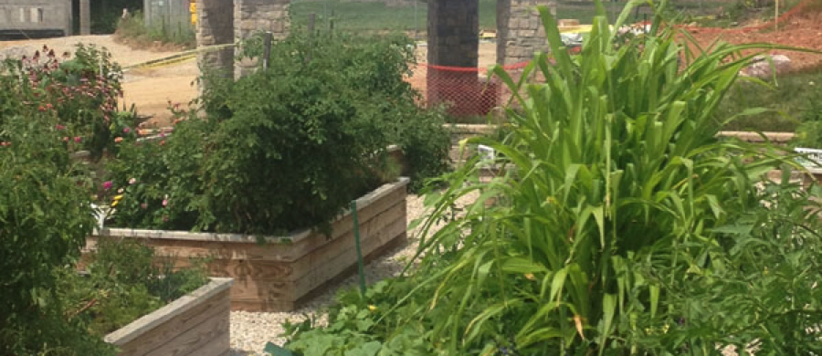 Progress at the pavilion with greenery