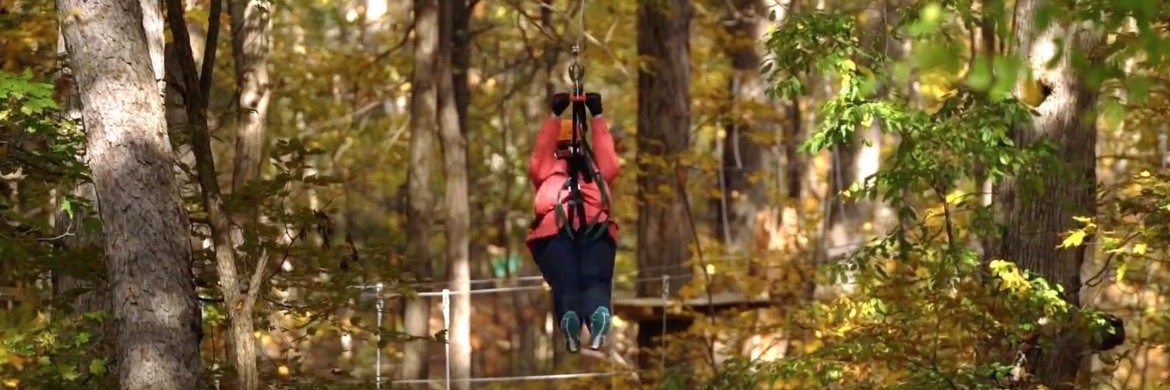 Retiree zip lining through woods