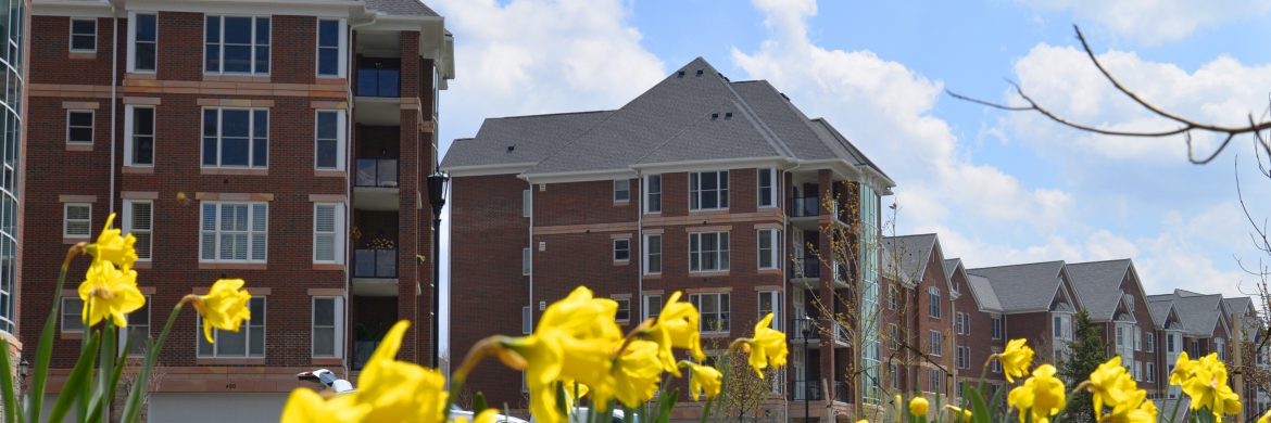 Outside view of apartment buildings with blooming flowers