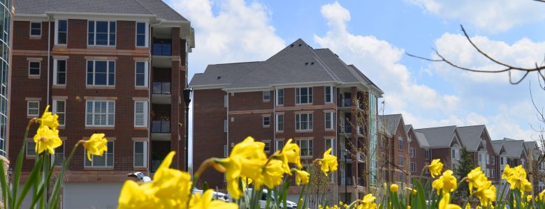 Outside view of apartment buildings with blooming flowers