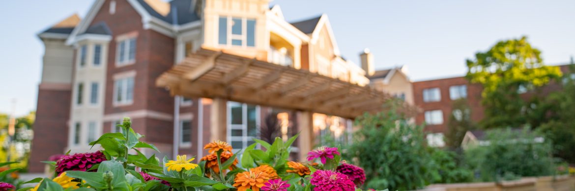colorful flowers in flowerbed in front of a building