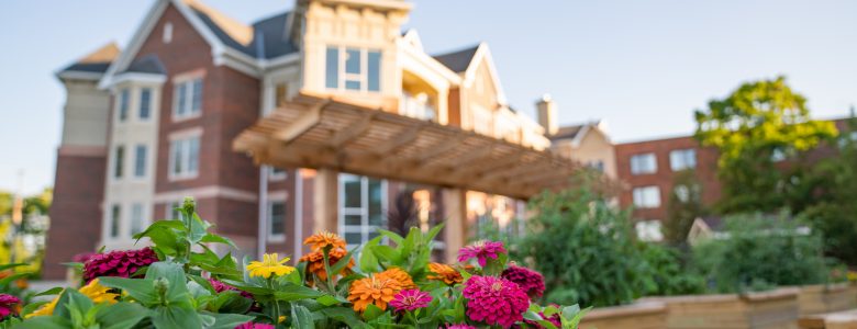 colorful flowers in flowerbed in front of a building