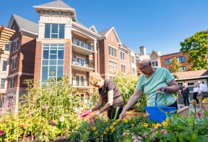 Women gardening in the raised garden
