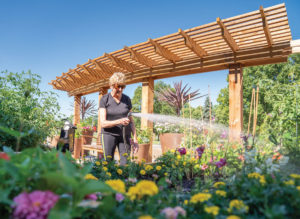 gardening reduces stress for emotional wellness
