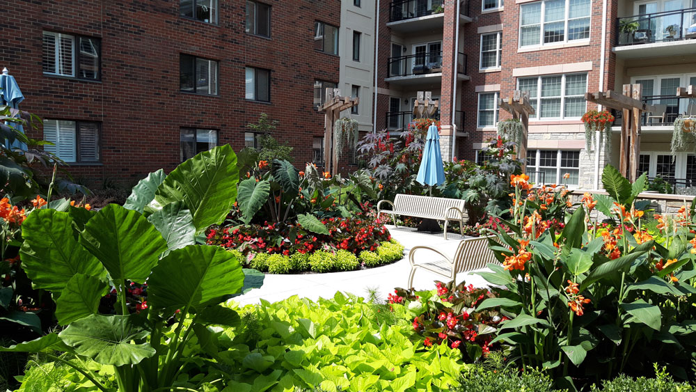 A beautiful courtyard view enhances environmental wellness