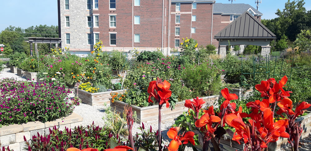 Resident gardens enhance environmental wellness
