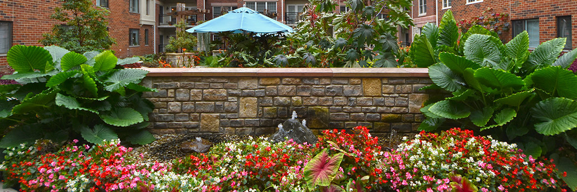 courtyard garden at Friendship Village of Dublin