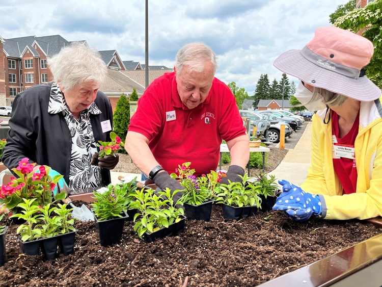 Friendship in Bloom horticultural therapy program