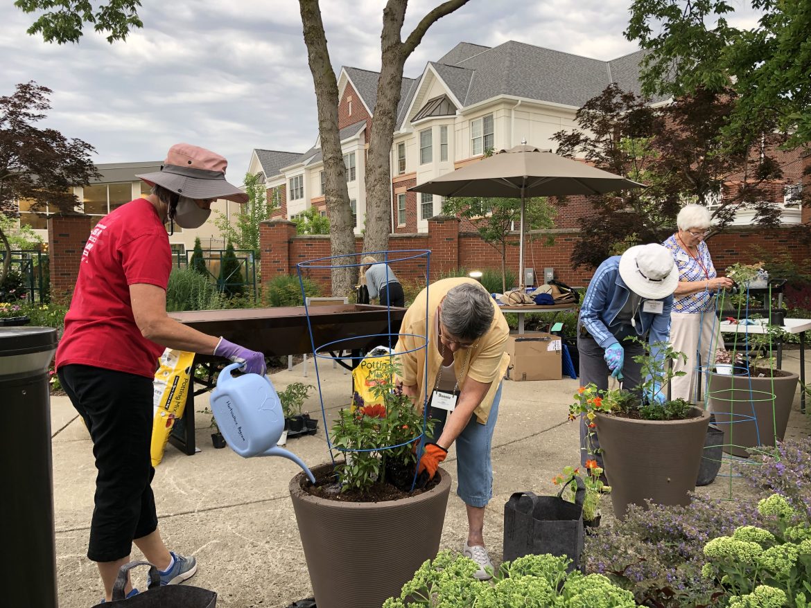 Seniors gardening