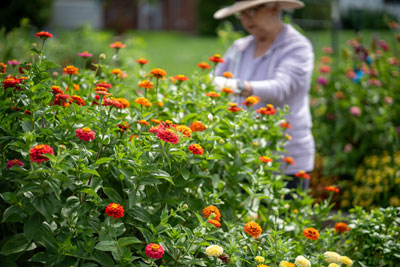 A Resident gardening at Friendship Village of Dublin.