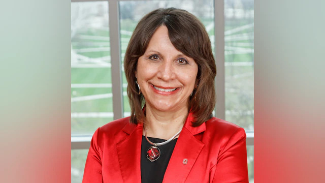 Bernadette Mazurek Melnyk, Ph.D.